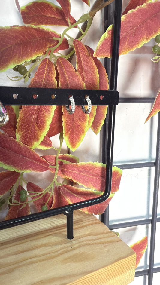 Pendientes de Acero pequeños